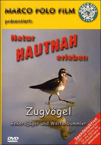 Natur hautnah erleben - Zugvögel (DVD)