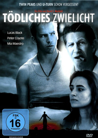 Tödliches Zwielicht (DVD)