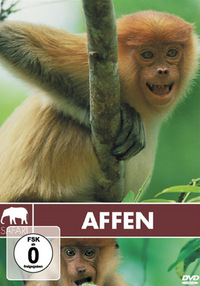 Safari - Affen (DVD)