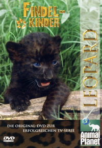 Findelkinder - Volume 2 - Leoparden (DVD)