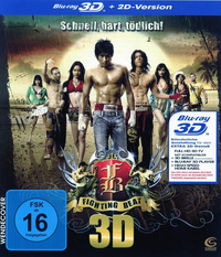 Fighting Beat (DVD)