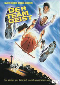 Der Teamgeist (DVD)