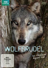 BBC Earth - Wolfsrudel (DVD)