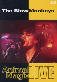 The Blow Monkeys - Animal Magic Live (DVD)