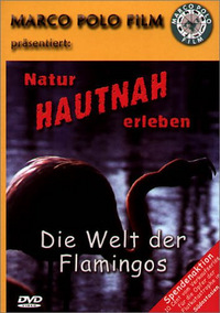 Natur hautnah erleben - Die Welt der Flamingos (DVD)