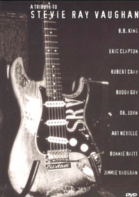 A Tribute to Stevie Ray Vaughan (DVD)