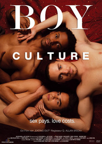 Boy Culture (DVD)