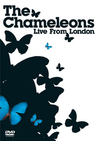 The Chameleons - Live from London (DVD)