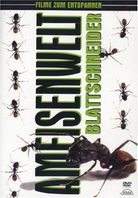Ameisenwelt (DVD)