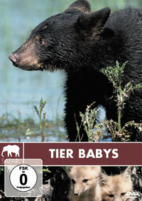 Safari - Tier Babys (DVD)