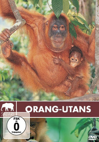 Safari - Orang-Utans (DVD)