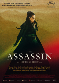 The Assassin (DVD)