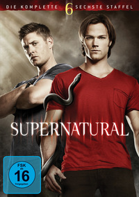 Supernatural - Staffel 6 - Disc 6 - Episoden 20 - 22 (DVD)