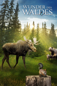 Wunder des Waldes (Blu-ray 3D)