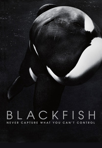 Blackfish (DVD)