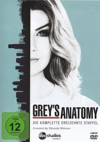 Grey's Anatomy - Staffel 13 - Disc 6 - Episoden 21 - 24 (DVD)