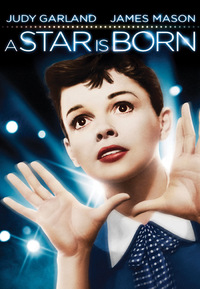 A Star Is Born - Ein neuer Stern am Himmel (DVD)