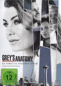 Grey's Anatomy - Staffel 14 - Disc 6 - Episoden 21 - 24 (DVD)
