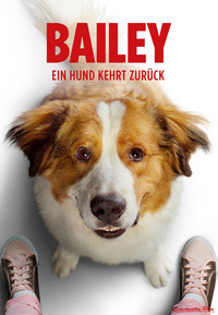 Bailey 2 - Ein Hund kehrt zurück (DVD)