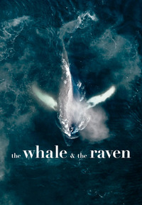 The Whale and the Raven (DVD)