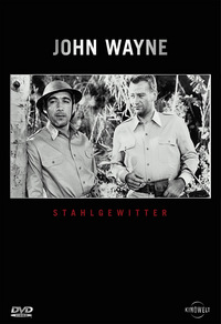 Stahlgewitter (DVD)