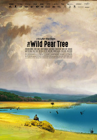 The Wild Pear Tree - Der wilde Birnbaum (DVD)