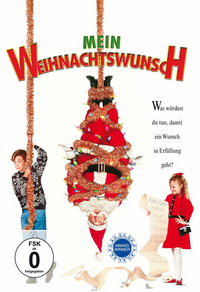 Mein Weihnachtswunsch (DVD)