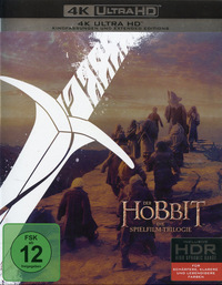 Der Hobbit 2 - Smaugs Einöde - Kinofassung (DVD)