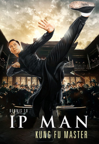 Ip Man - Kung Fu Master (DVD)