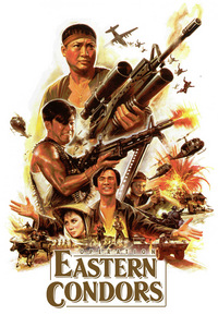 Operation Eastern Condors (DVD)