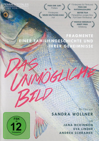 Das unmögliche Bild (DVD)