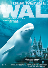 Der weiße Wal (DVD)