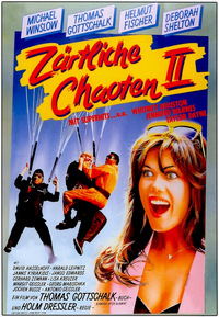 Zärtliche Chaoten 2 (DVD)