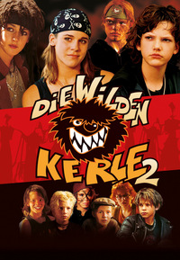 Die Wilden Kerle 2 (DVD)