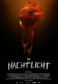 Im Nachtlicht (DVD)