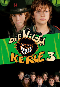 Die Wilden Kerle 3 (DVD)