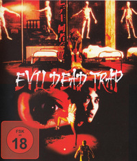 Evil Dead Trap (DVD)