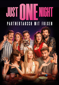 Just One Night - Partnertausch mit Folgen (DVD)