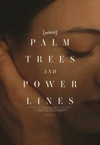 Palm Trees and Power Lines (DVD)