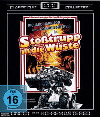 Stoßtrupp in die Wüste (DVD)