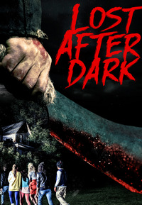 Lost After Dark (DVD)
