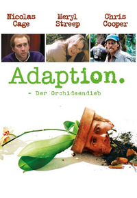 Adaption