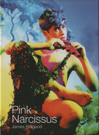 Pink Narcissus (DVD)