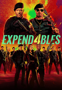 The Expendables 4 (DVD)