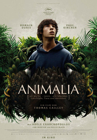 Animalia (DVD)