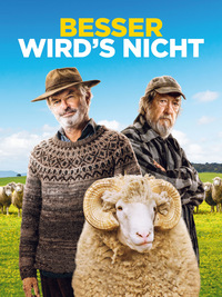 Besser wird's nicht (DVD)