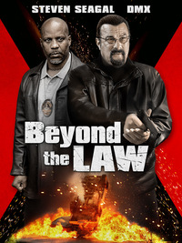 Beyond the Law (DVD)