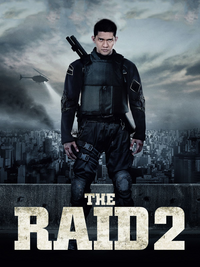 The Raid 2 (DVD)