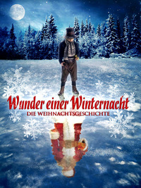 Wunder einer Winternacht - Die Weihnachtsgeschichte (DVD)