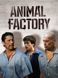 Animal Factory - Rache eines Verurteilten